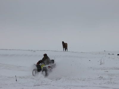 Снежный декабрь в Крыму - пора седлать квадроциклы!