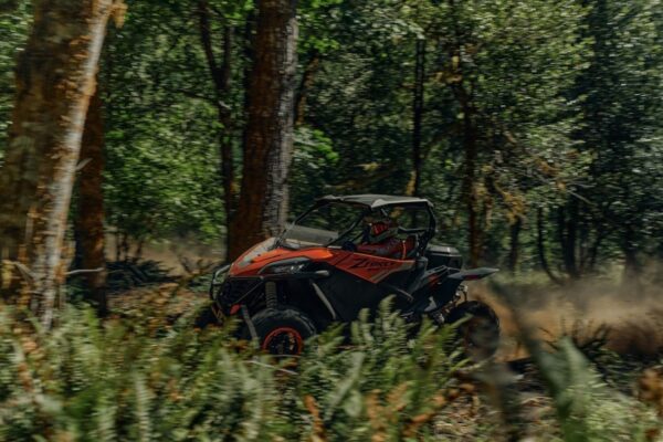 Квадроциклы с кабиной: какую модель выбрать в 2024–2025 годах