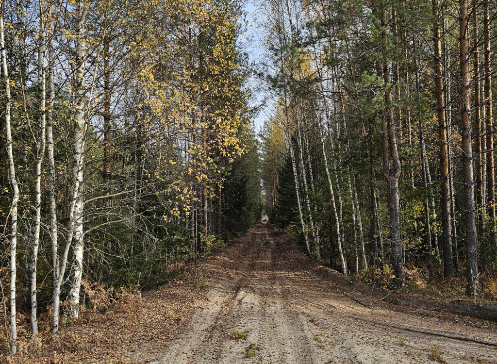 450 км по бездорожью: квадропробег клуба Extreme по маршруту Чебоксары – Нижний Новгород