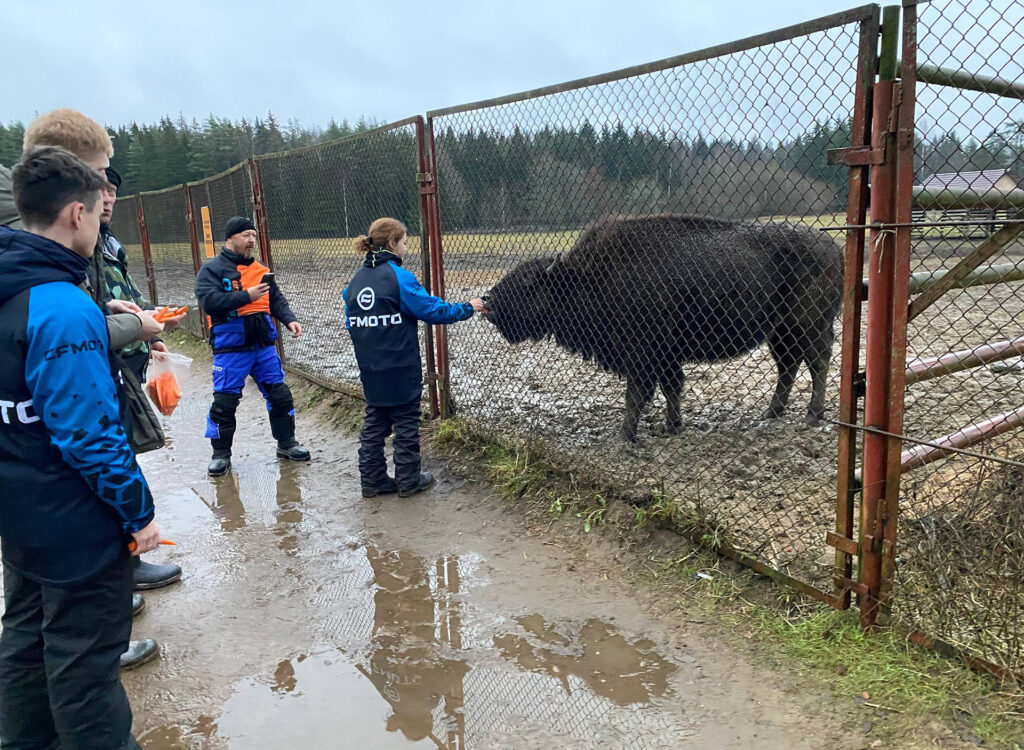 Предновогодний квадровыезд в компании «Мототрест»