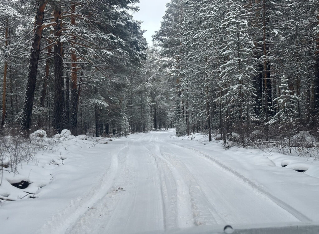 По окрестностям зимнего Иркутска. Маршрут по зимним лесным дорогам в поисках зимовья