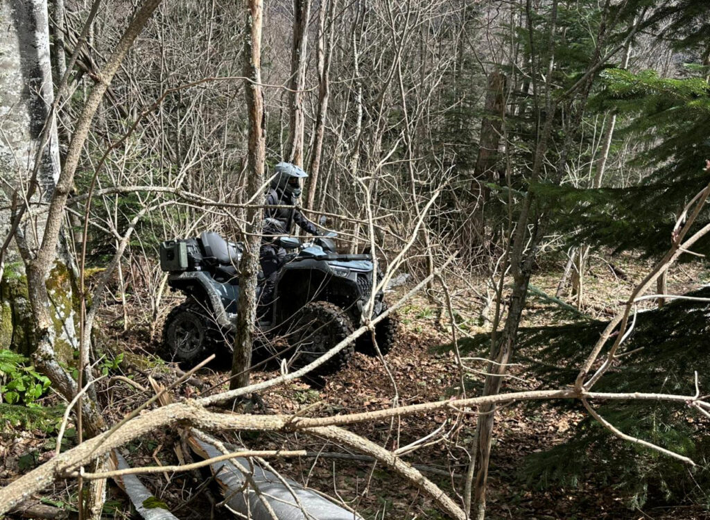 Прощание со снегом