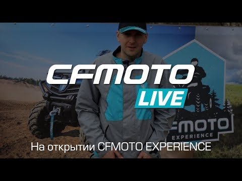Идея для корпоратива: поездка на квадроциклах